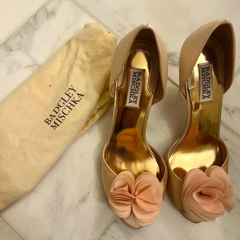 Badgley Mischka Stiletto Heels (rose pink)